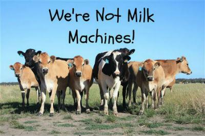 Foto: Un afiche de protesta contra las granjas industriales. Fuente: www.peta.org Foto: Un afiche de protesta contra las granjas industriales. Fuente: www.peta.org