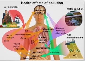 Infographic: The effects of pollution, including air pollution, on human health. Source: missioninvisible.blogspot.mx 
