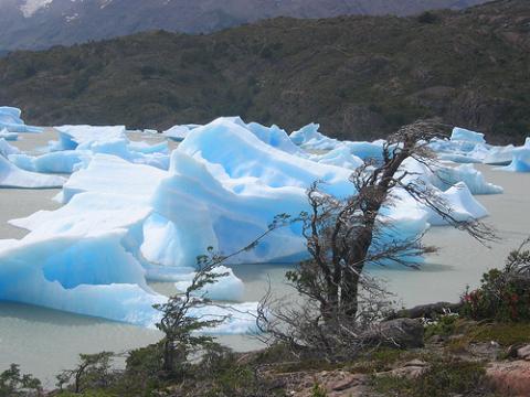 Foto: Glaciares en el Parque Nacional Torres del Paine, Magallanes, Chile. Crédito: Anna Cederstav