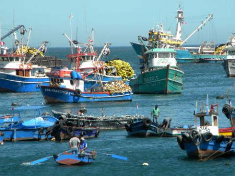 Peruvian fishing boats catching the anchoveta. Credit: CSA-UPCH.