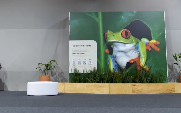 Sede de la COP30 sobre cambio climático en Brasil