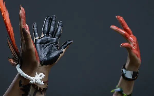 Sesión Plenaria de los pueblos en la 30 Conferencia de la ONU sobre Cambio Climático en Brasil