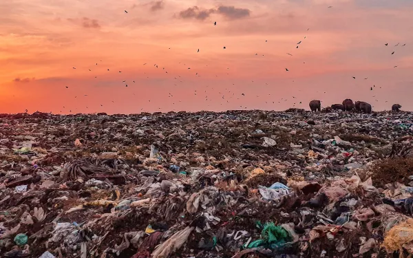 Terreno usado como basurero