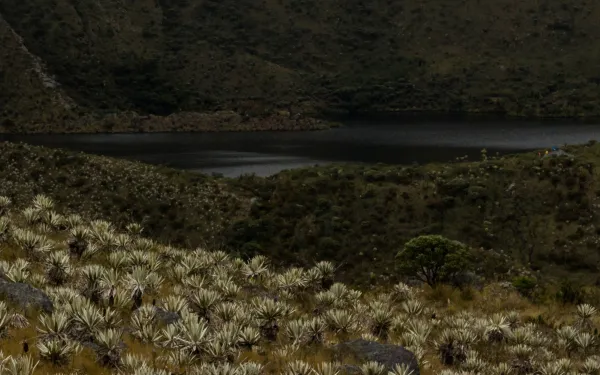 Ecosistema de páramo en Coombia