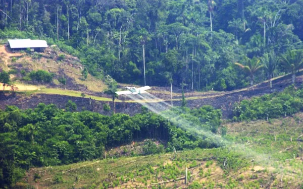 Avioneta rocía una mezcla química con glifosato sobre cultivos y cerca de una casa.