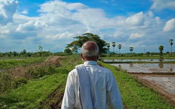 Farmer in India
