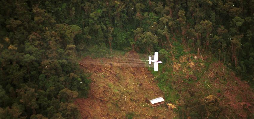 Plan Colombia: Aerial Spraying in Colombia