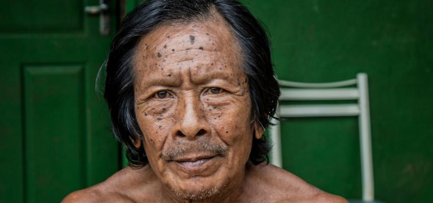 Brazilian indigenous