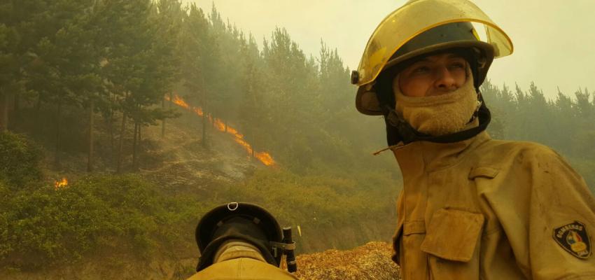 Forest fire in Chile