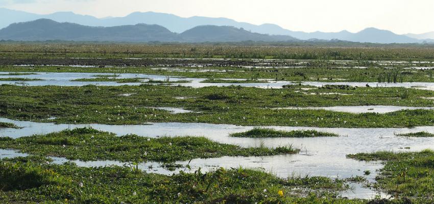 Palo Verde National Park in Costa Rica