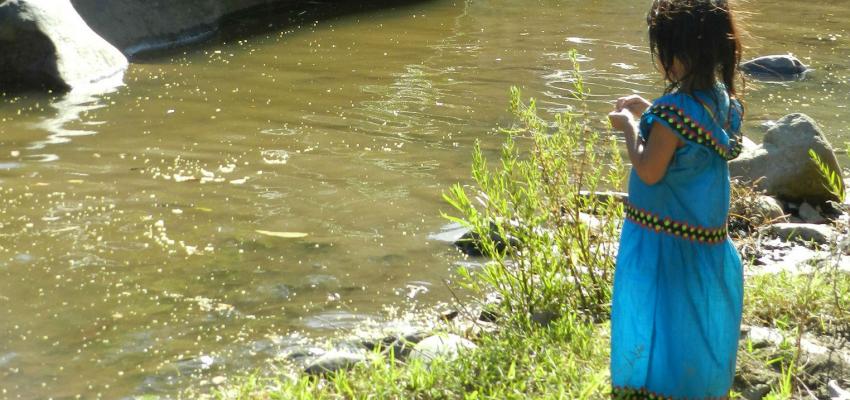 Informe independiente concluye que Bancos de Desarrollo de Alemania y Holanda incumplieron normas ambientales y de derechos humanos al financiar la represa Barro Blanco en Panamá