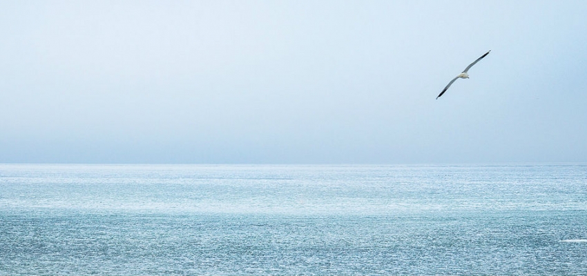 Ocean