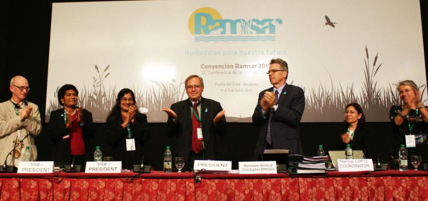 Informe de la Conferencia de las Partes de la Convención Ramsar
