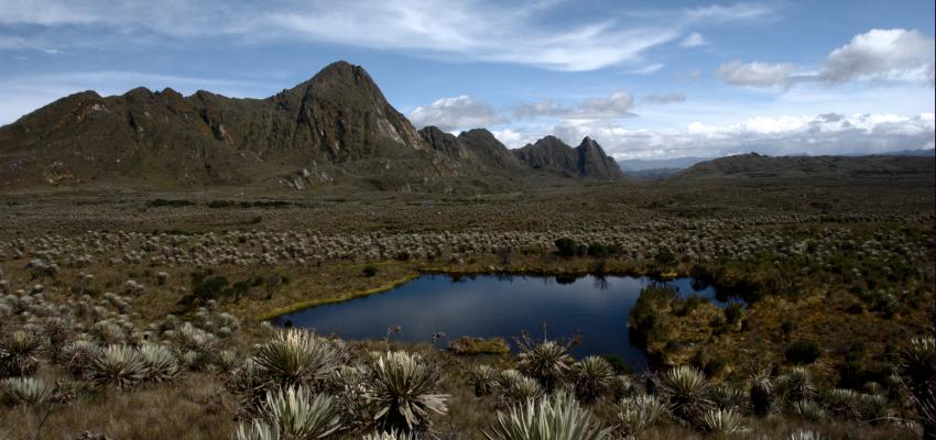 El Páramo de Sumapaz, Colombia. | Crédito: Luis Alejandro Bernal Romero / Flickr