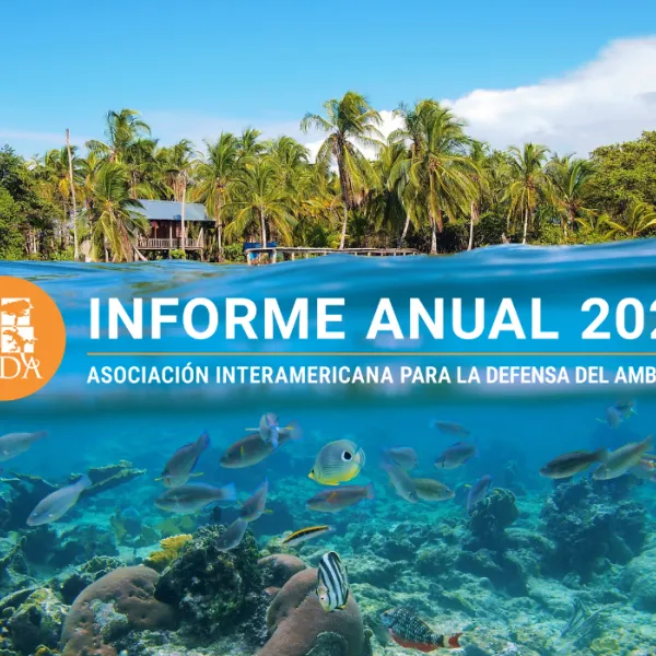 Annual Report English